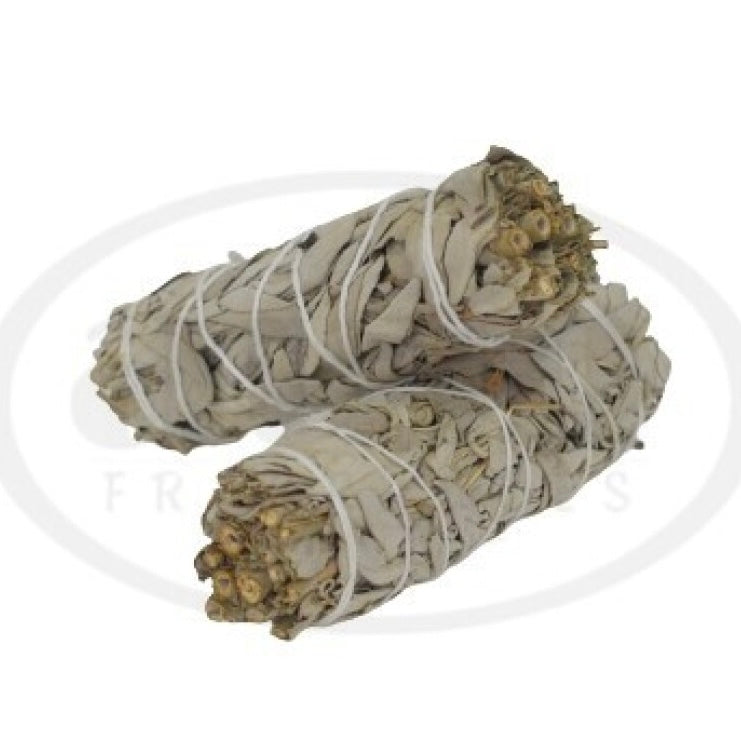 White Sage Torch
